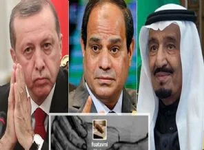 "Erdoğan Sisi'den özür diledi" yalanı