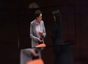 HDP'den MHP'li Meral Akşener'e övgü!