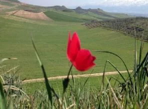 Son cemre toprağa düştü!