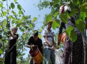 Türkiye'de kadınların yaşam süreleri