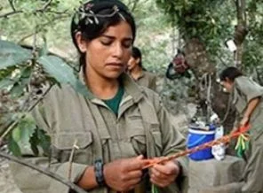 'Bakur'a sansür ile Ağrı olayı bağlantılı'