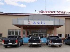Hakkari'de 'domuz gribi' paniği