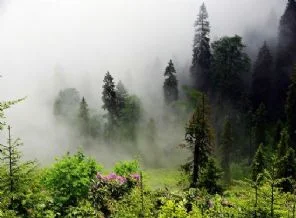 Karadeniz'de siste kayboldular
