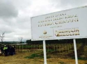 Savcı Kiraz için hatıra ormanı