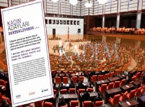 Siyasi partilere kadın aday çağrısı