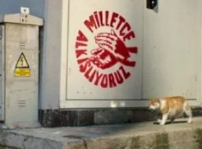 YSK'dan kedi reklamı hamlesi