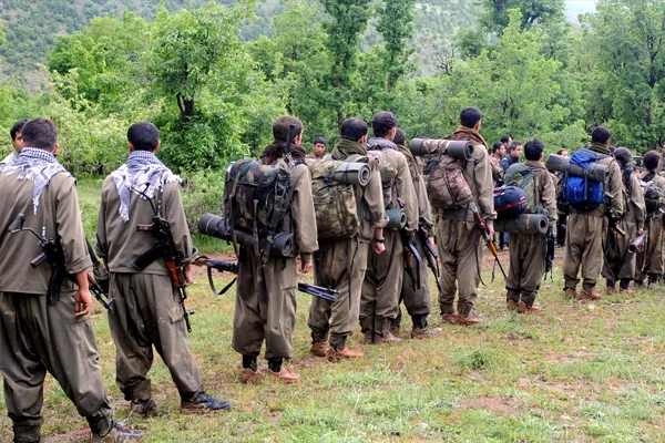 2 PKK'lı teslim oldu