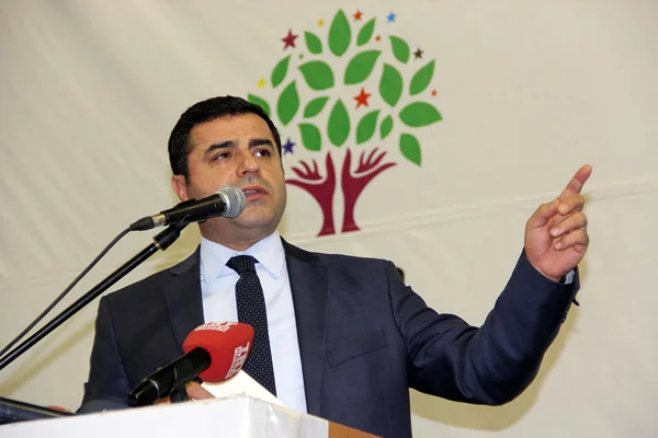 Demirtaş: HDP, Robin Hood hareketidir