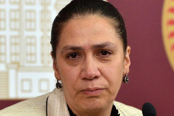 'Farklı partiye oy çıkarsa köyünüzü başınıza yıkarız'