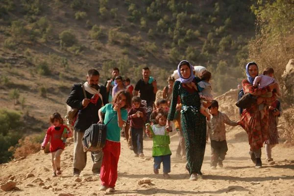 Kobani'ye dönüyorlar