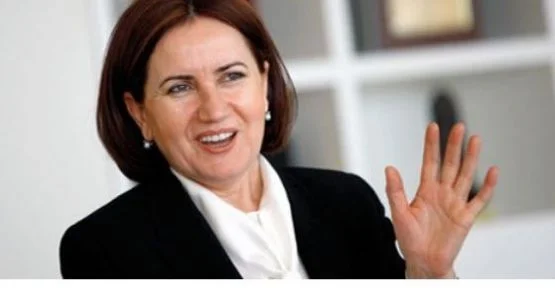 MHP'li Akşener'i dehşete düşüren yazılar!