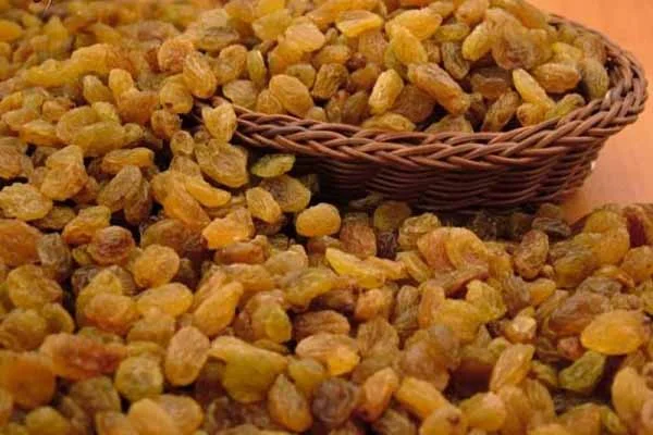 Öğrencilere 600 ton üzüm