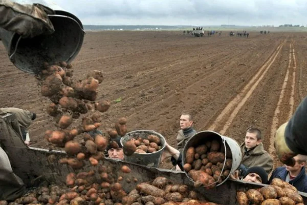 Pazarla tarla arasında yüzde 300 fark