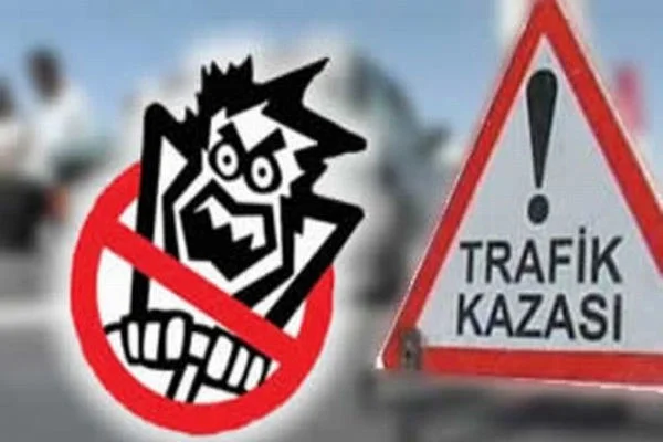 TEM'de trafik durdu!