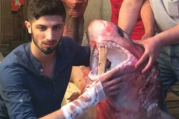 Türkiye'de köpek balığı saldırısı