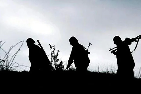 3 PKK'lı teslim oldu
