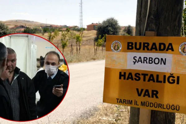 Giresun'da şarbon paniği
