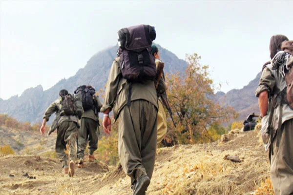 Hakkari'de bir PKK'lı teslim oldu