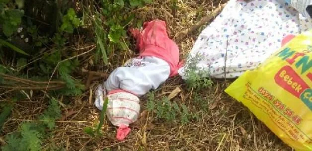 Minik bebek tarlaya terk edildi