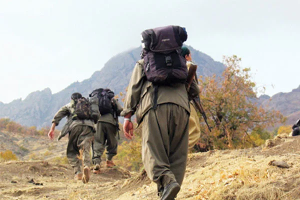 Şemdinli'de iki PKK'lı teslim oldu