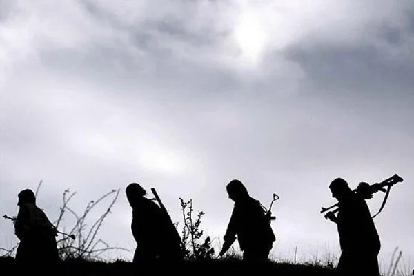 3 PKK'lı teslim oldu