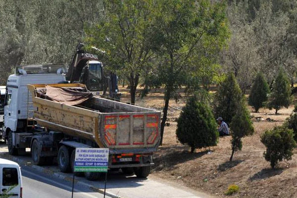 Bu şehrimizde ağaç katliamına son!