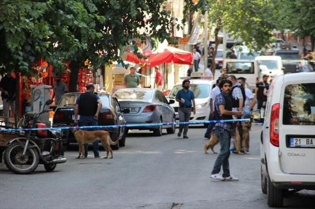 Diyarbakır'da çok yönlü operasyon