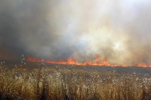 Lice'den sonra Tunceli yanıyor