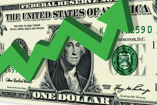 Operasyonlar doları uçurdu