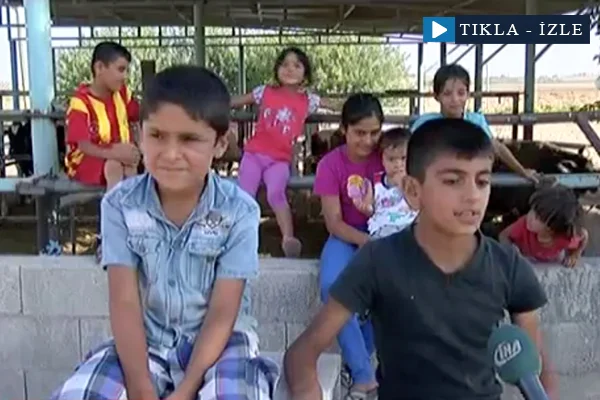 Sınırın çocukları IŞİD'i anlattı