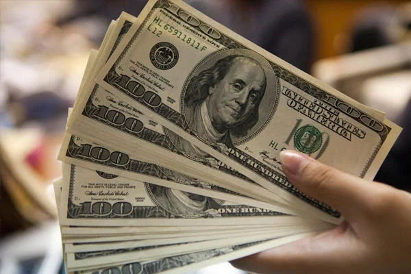 Suruç patlaması doları vurdu