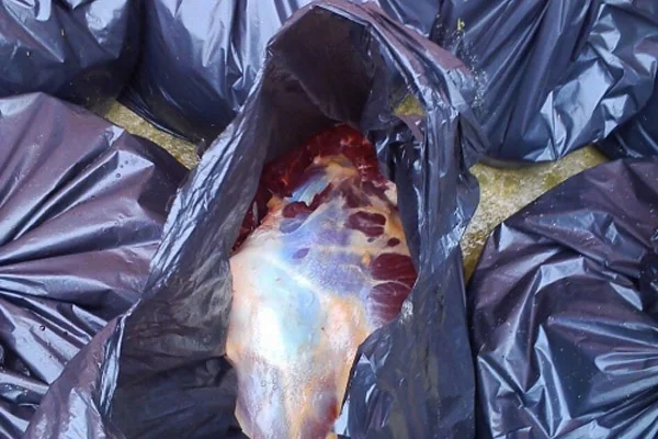 400 kilo at eti yakalandı