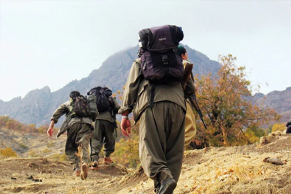 7 PKK'lı teslim oldu