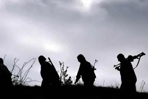 Bingöl'de 2 PKK'lı ele geçirildi