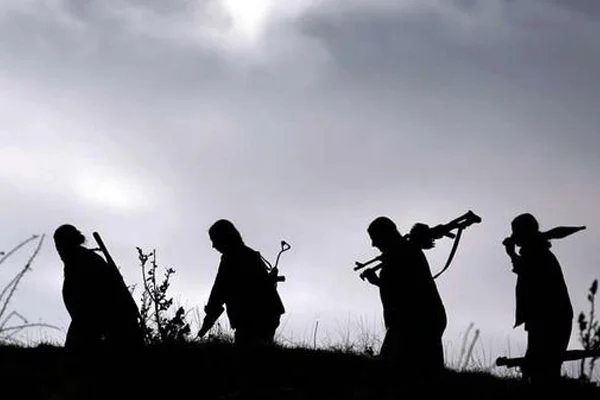 Bingöl'de 2 PKK'lı öldürüldü