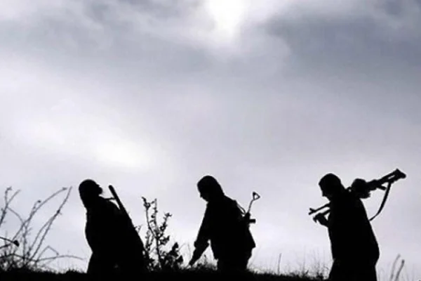 Bitlis'te 1 PKK'lı etkisiz hale getirildi