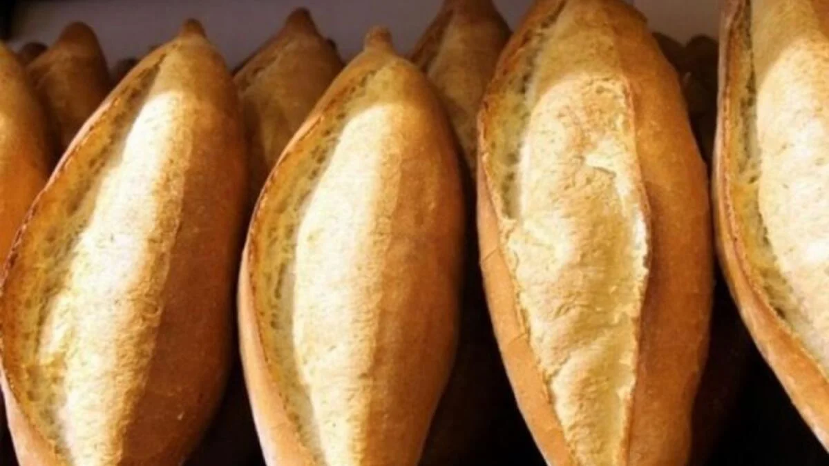 Çöpe giden ekmek rekor seviyede