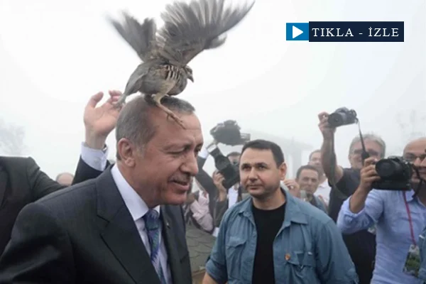 Erdoğan'ın başına keklik kondu