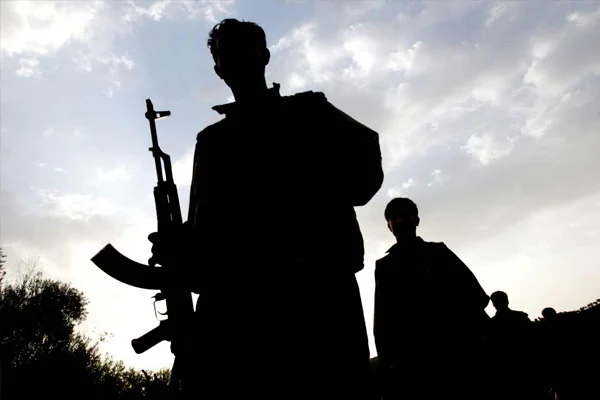 Hakkari'de 2 PKK'lı teslim oldu