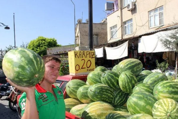 Kilosu 20 kuruşa düştü