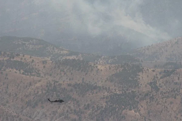 Şırnak'ta 5 PKK'lı öldürüldü