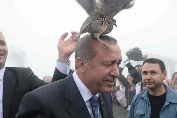 Soğuk İngiliz esprisi: Kürt kuşuymuş