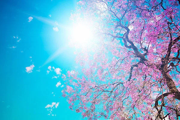 Yurt genelinde hava durumu