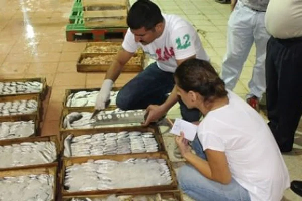 2 ton balığa el konuldu