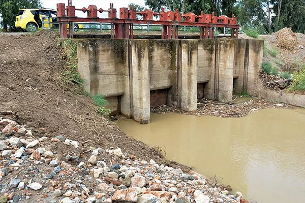 Büyük Menderes Nehri'nde korkutan görüntü