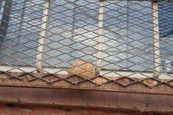 Diyarbakır'da ilkokula bomba koydular