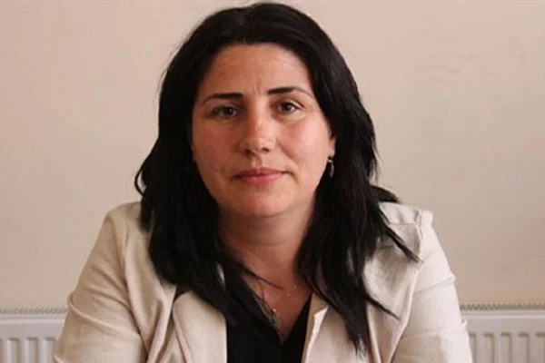 HDP'li vekilin PKK'ya erzak götürdüğü iddiası