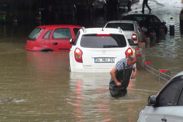 Kartal su altında