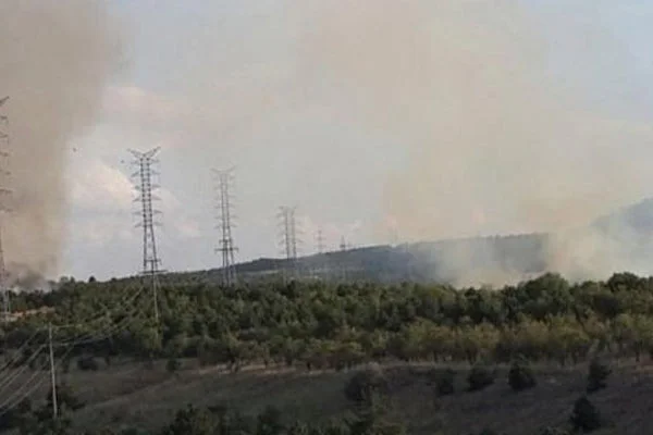 ODTÜ ormanında yangın