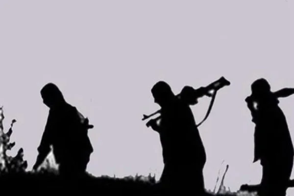 Şırnak'ta 2 PKK'lı teslim oldu